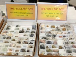 Denver Gem &amp; Mineral Show